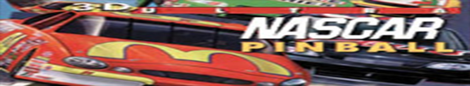 3-D Ultra Pinball: NASCAR banner