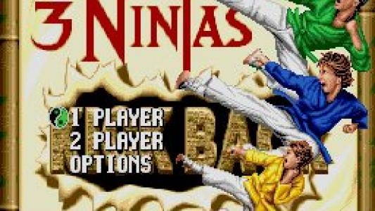 3 Ninjas Kick Back screenshot