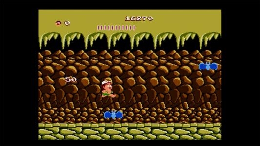 Adventure Island screenshot