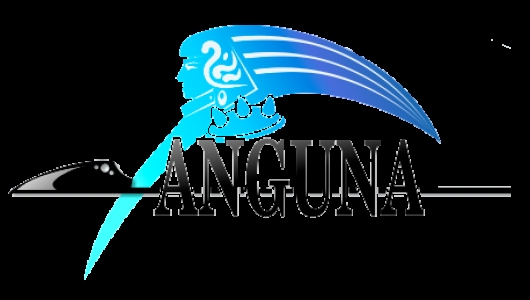 Anguna: Warriors of Virtue clearlogo
