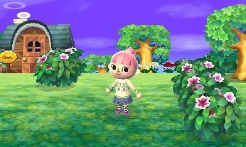 Animal Crossing: New Leaf - Welcome Amiibo screenshot