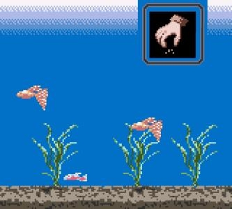 Aqualife screenshot