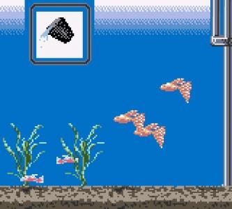 Aqualife screenshot