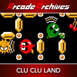 Arcade Archives: Clu Clu Land