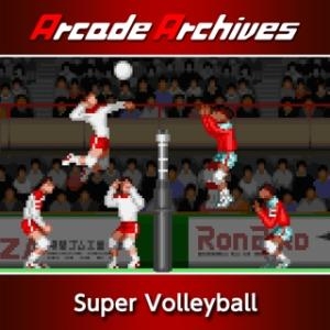 Arcade Archives: Super Volleyball