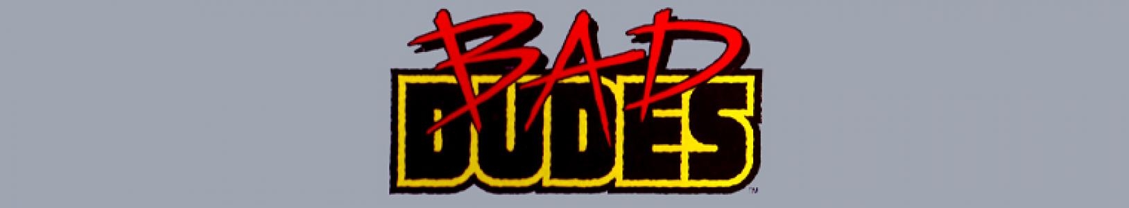 Bad Dudes banner