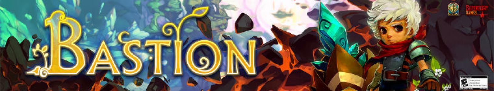 Bastion banner