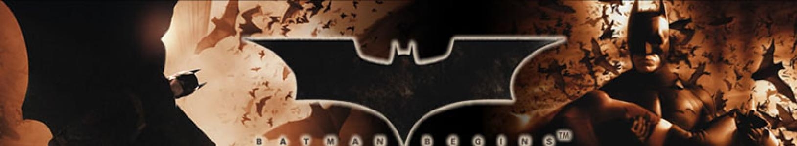 Batman Begins banner