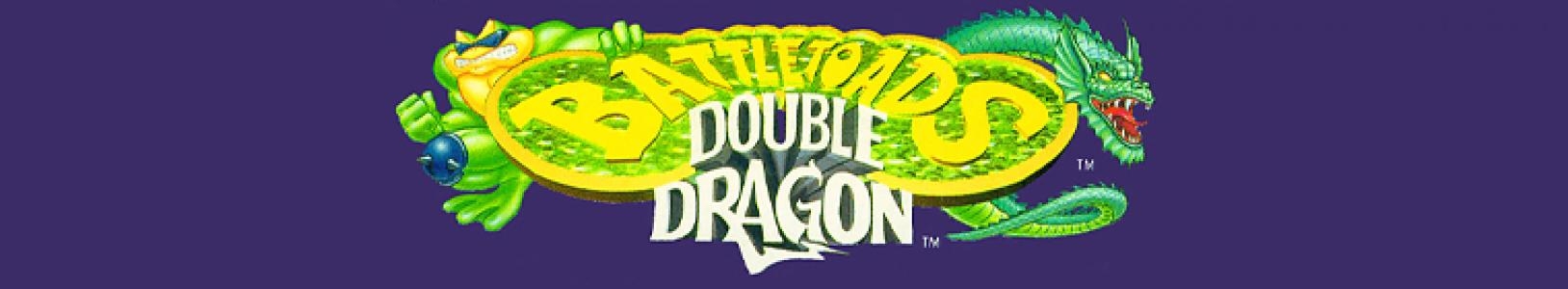 Battletoads & Double Dragon banner