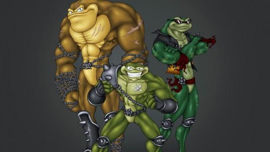 Battletoads fanart