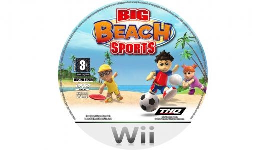 Big Beach Sports fanart