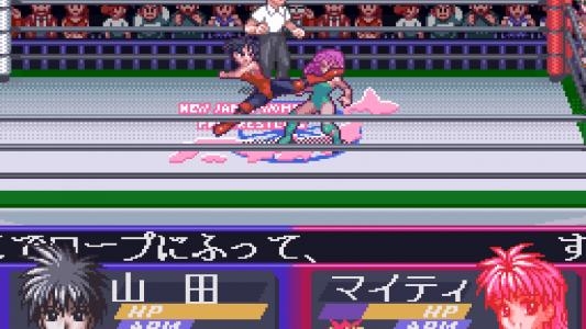 Bishoujo Wrestler Retsuden: Blizzard Yuki Rannyuu!! screenshot