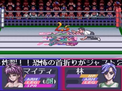 Bishoujo Wrestler Retsuden: Blizzard Yuki Rannyuu!! screenshot