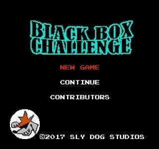 Black Box Challenge
