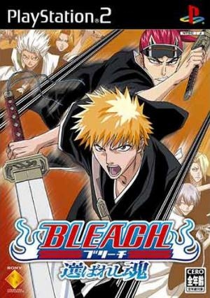 Bleach: Erabareshi Tamashii