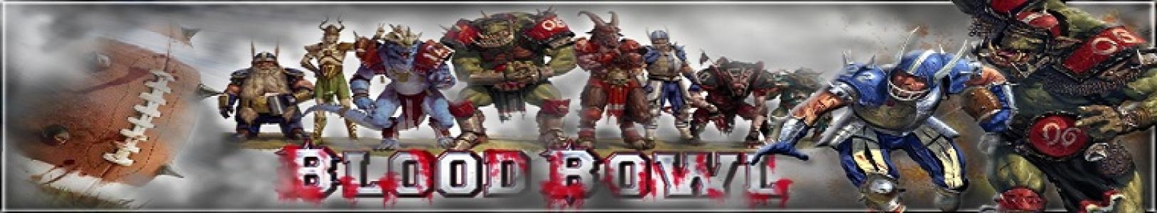 Blood Bowl banner