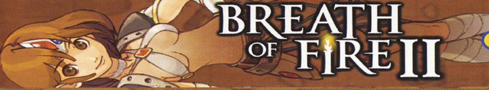 Breath of Fire II banner