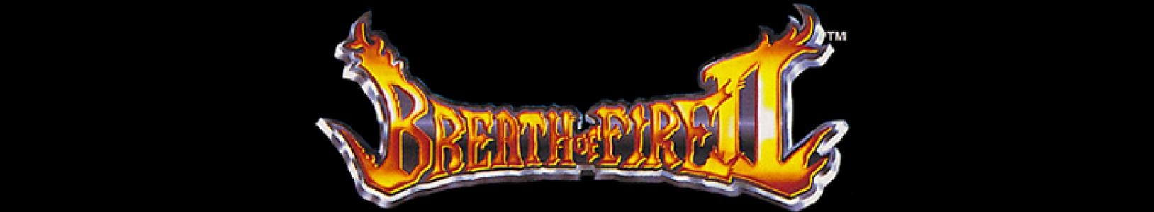 Breath of Fire II banner