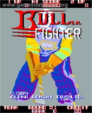 Bull Fighter