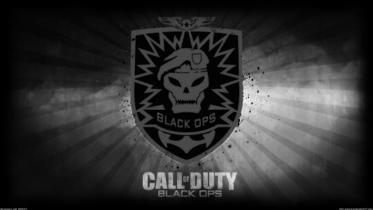 Call of Duty: Black Ops fanart