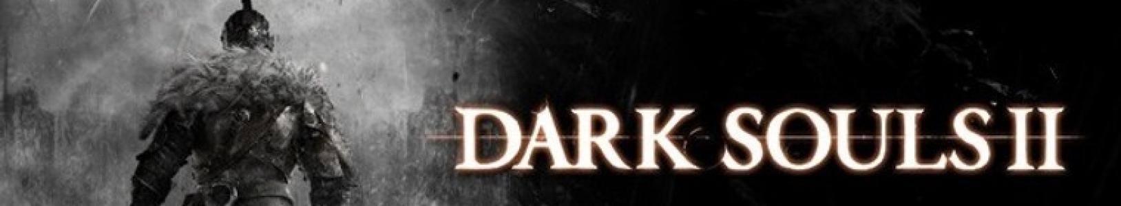 Dark Souls II banner