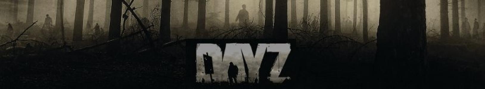 DayZ banner