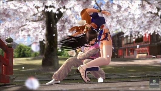 Dead or Alive 4 screenshot