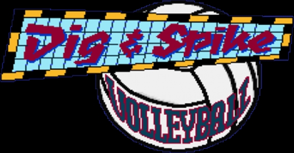 Dig & Spike Volleyball clearlogo