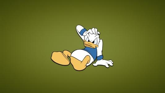 Disney's Donald Duck: Goin' Quackers fanart