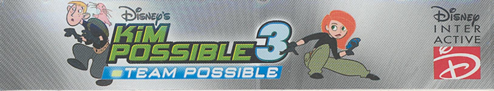 Disney's Kim Possible 3: Team Possible banner