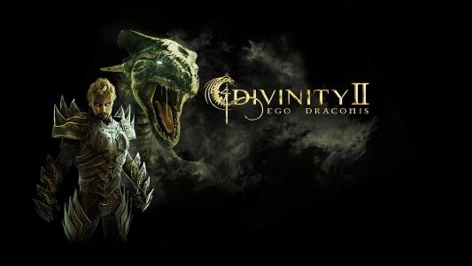 Divinity II: Developer's Cut fanart