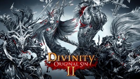 Divinity: Original Sin II fanart