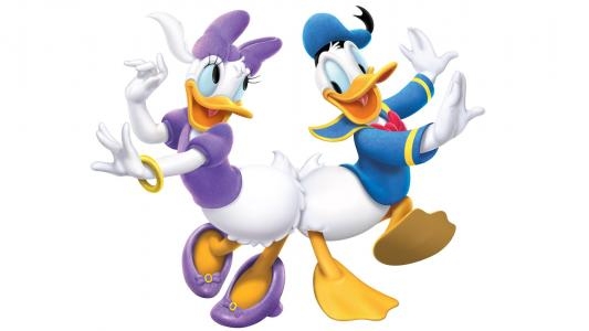 Donald Duck no Mahou no Boushi fanart