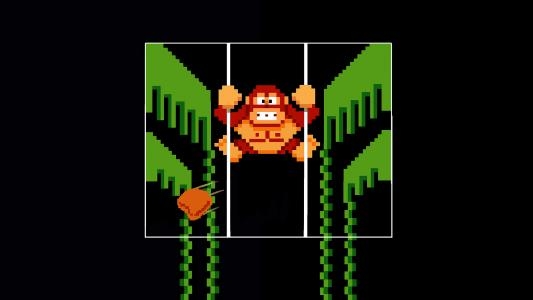 Donkey Kong 3 fanart