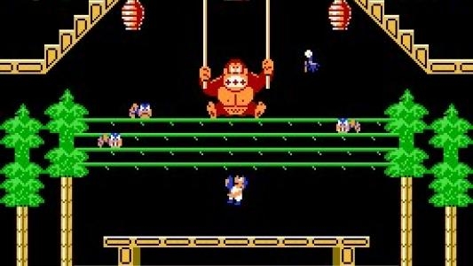 Donkey Kong 3 screenshot