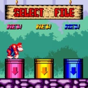 Donkey Kong 5 :The Journey of Over Time and Space screenshot