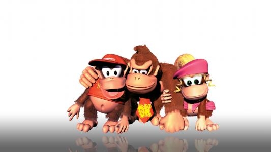 Donkey Kong Country 2: Diddy's Kong Quest fanart