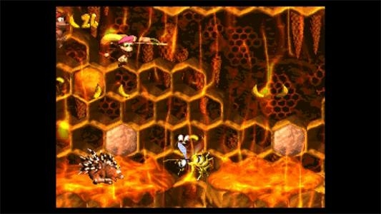 Donkey Kong Country 2: Diddy's Kong Quest screenshot