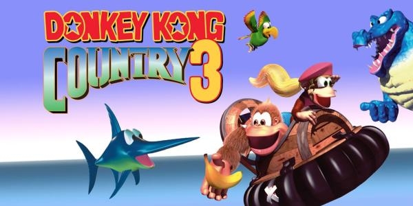 Donkey Kong Country 3 banner