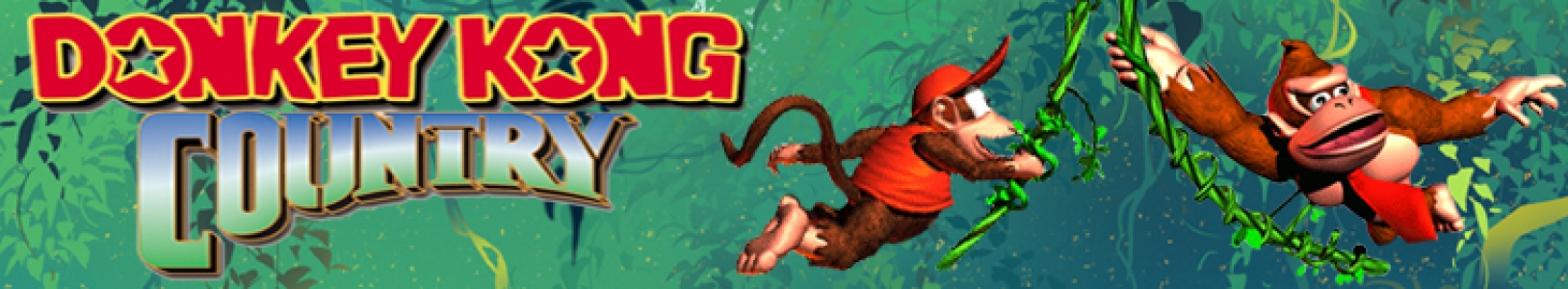 Donkey Kong Country banner