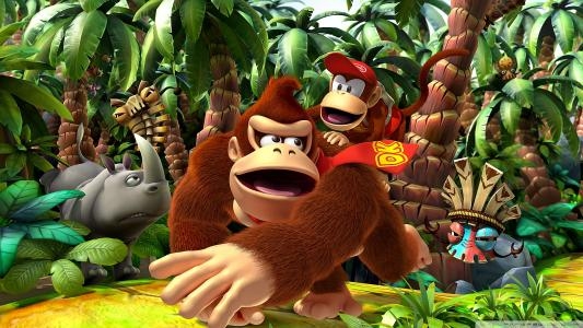 Donkey Kong Country Returns fanart