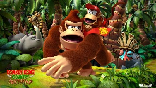 Donkey Kong Country Returns fanart