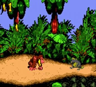 Donkey Kong Country screenshot