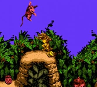 Donkey Kong Country screenshot