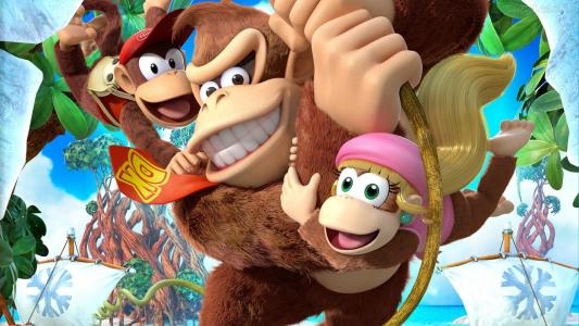 Donkey Kong Country: Tropical Freeze [Nintendo Selects] fanart