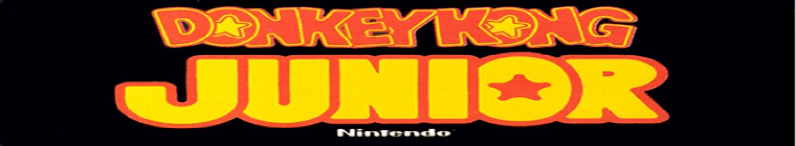 Donkey Kong Jr. banner