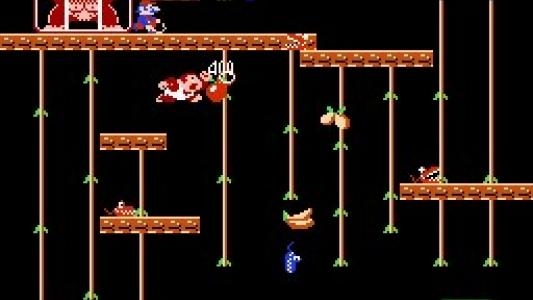 Donkey Kong Jr. screenshot