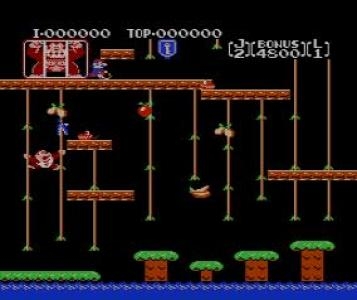 Donkey Kong Jr. (Virtual Console) screenshot