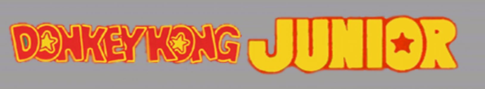 Donkey Kong Junior banner