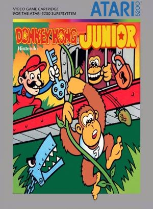 Donkey Kong Junior